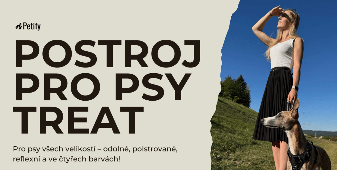 petify-postroje-pro-pejsky
